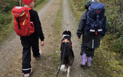 Skoleåret er i gang!